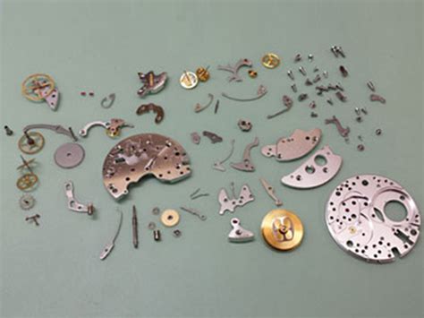 assistenza omega roma